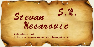 Stevan Mesarović vizit kartica